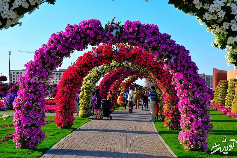 پارک گاردنز بای دی بی سنگاپور